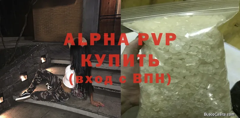 Alfa_PVP СК Поворино