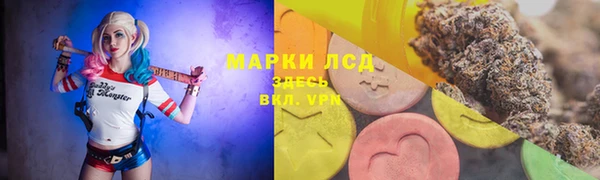 прущие грибы Киренск