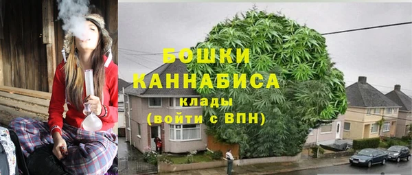 мдпв Киреевск