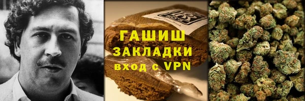 прущие грибы Киренск