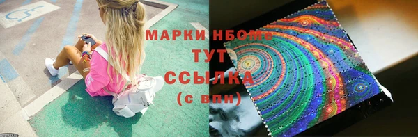 прущие грибы Киренск